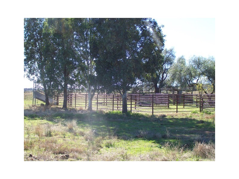 214 Hando’s Road, Tomingley NSW 2869