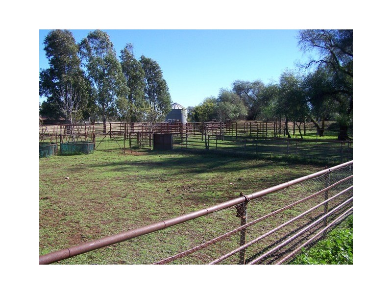 214 Hando’s Road, Tomingley NSW 2869