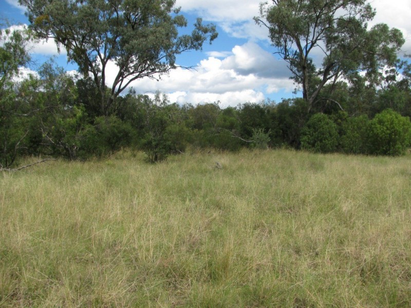 668 Melburra Road, Narrabri NSW 2390