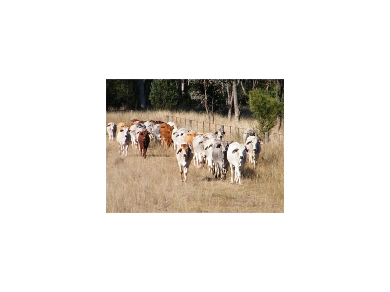 120 Carara Rd, Gunnedah NSW 2380