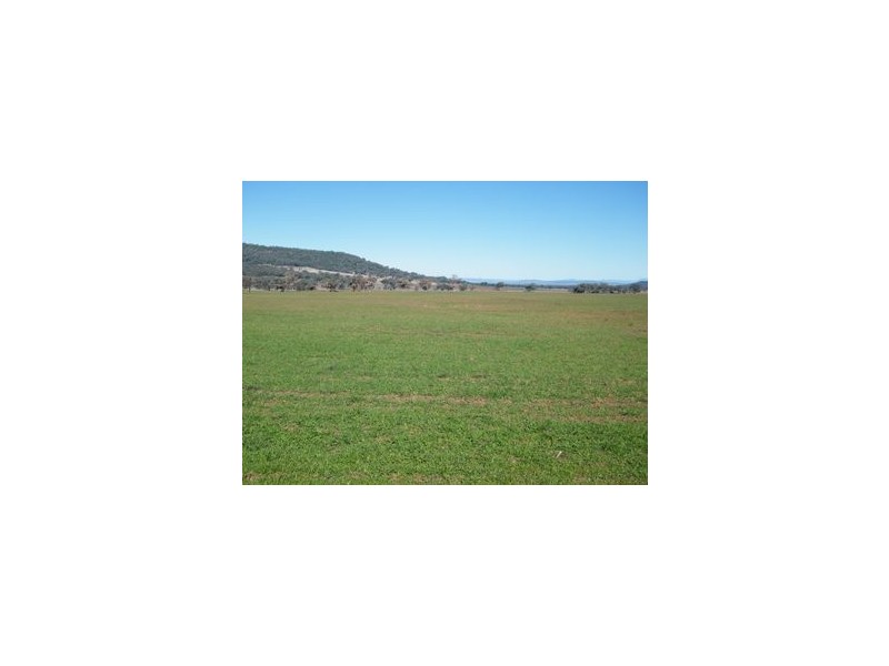 120 Carara Rd, Gunnedah NSW 2380