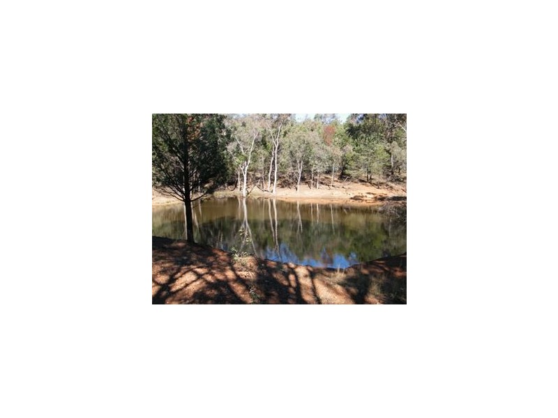 120 Carara Rd, Gunnedah NSW 2380