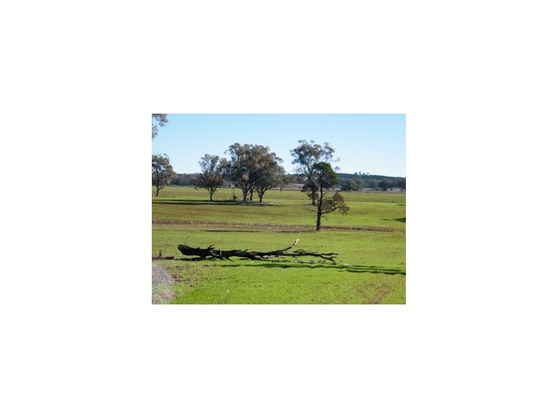 120 Carara Rd, Gunnedah NSW 2380