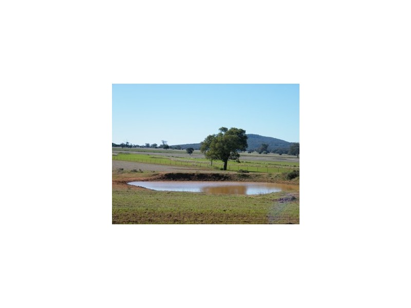 120 Carara Rd, Quirindi NSW 2343