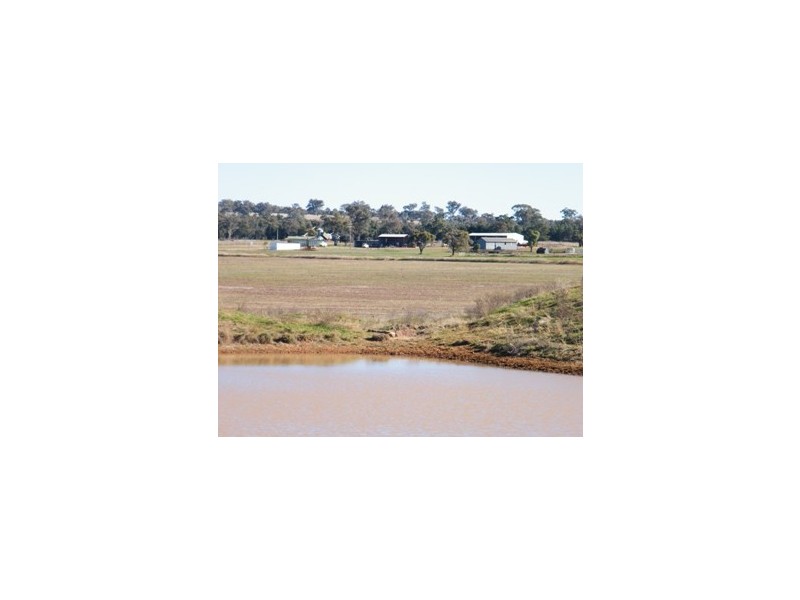 120 Carara Rd, Quirindi NSW 2343