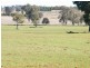 120 Carara Rd, Quirindi NSW 2343