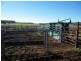 120 Carara Rd, Quirindi NSW 2343