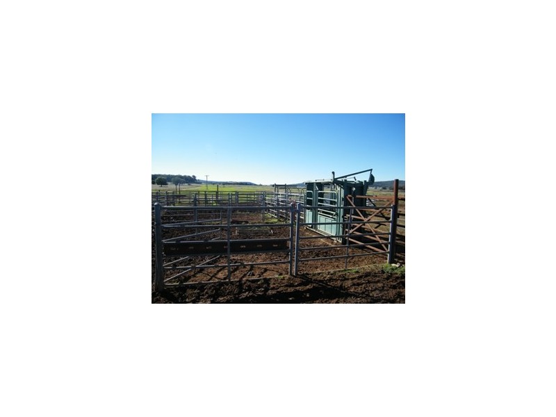 120 Carara Rd, Quirindi NSW 2343