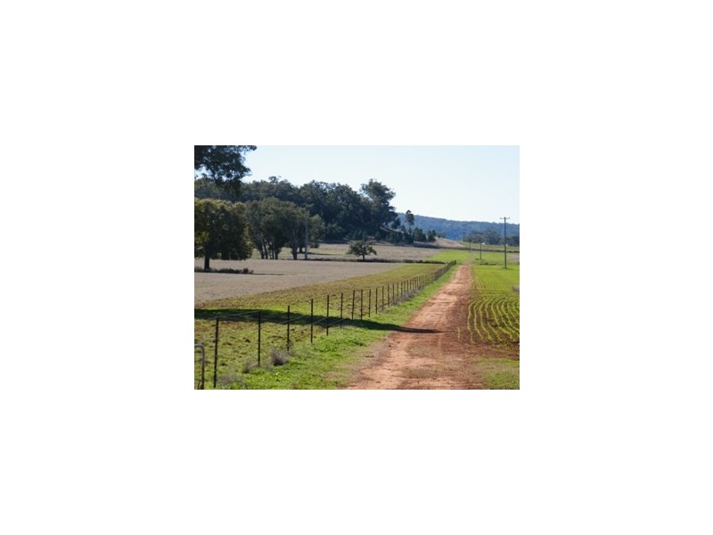 120 Carara Rd, Quirindi NSW 2343