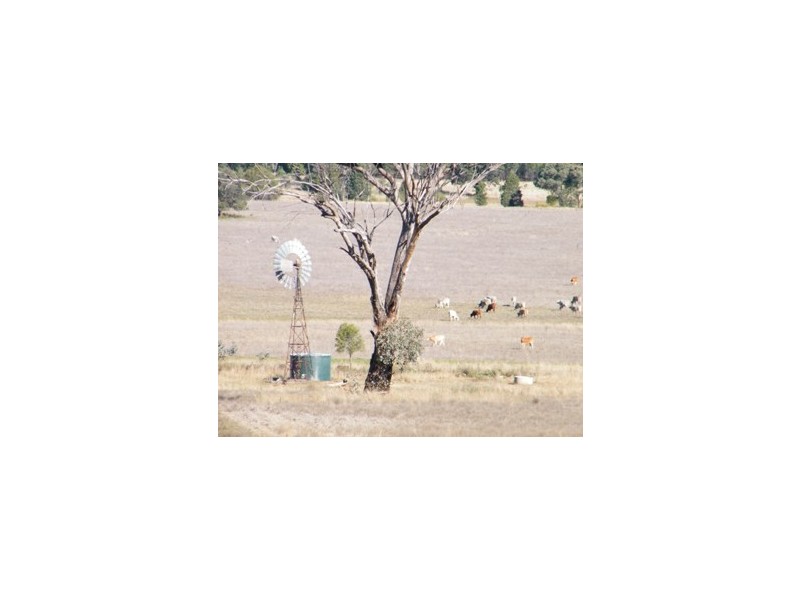 120 Carara Rd, Quirindi NSW 2343
