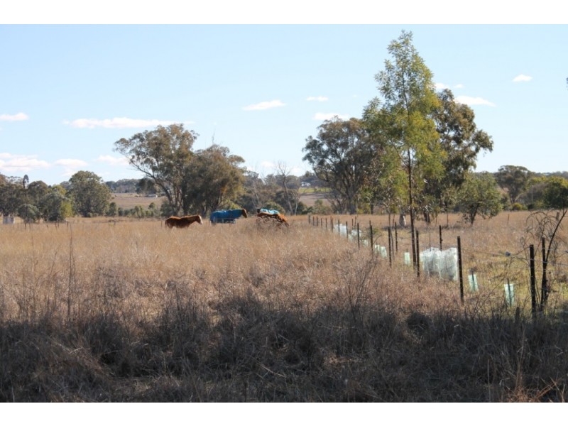 OLD LAURISTON Gwydir Highway, Inverell NSW 2360