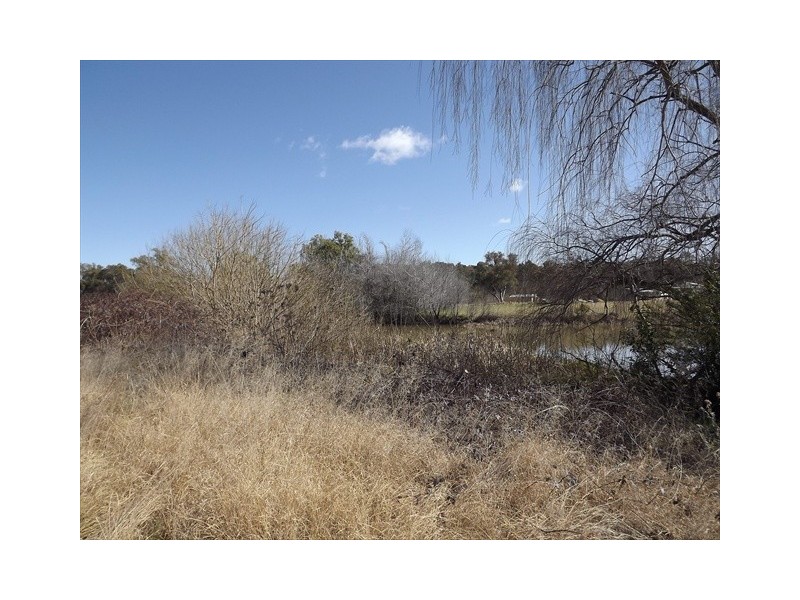 1-15 Drummond St, Coonabarabran NSW 2357