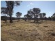 1-15 Drummond St, Coonabarabran NSW 2357