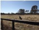 1-15 Drummond St, Coonabarabran NSW 2357