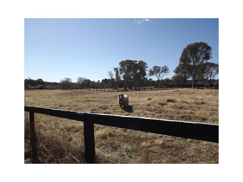 1-15 Drummond St, Coonabarabran NSW 2357