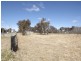 1-15 Drummond St, Coonabarabran NSW 2357