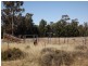 Baradine NSW 2396