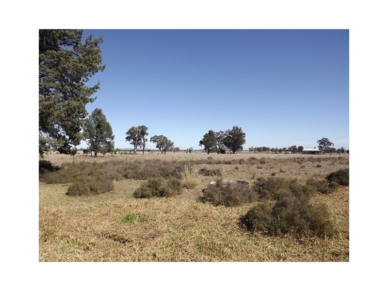 Baradine NSW 2396
