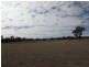 Baradine NSW 2396