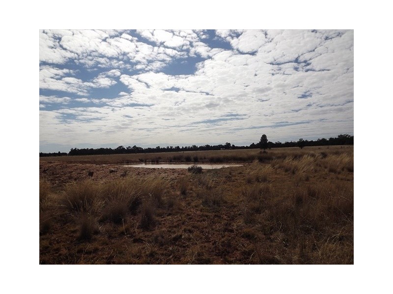Baradine NSW 2396