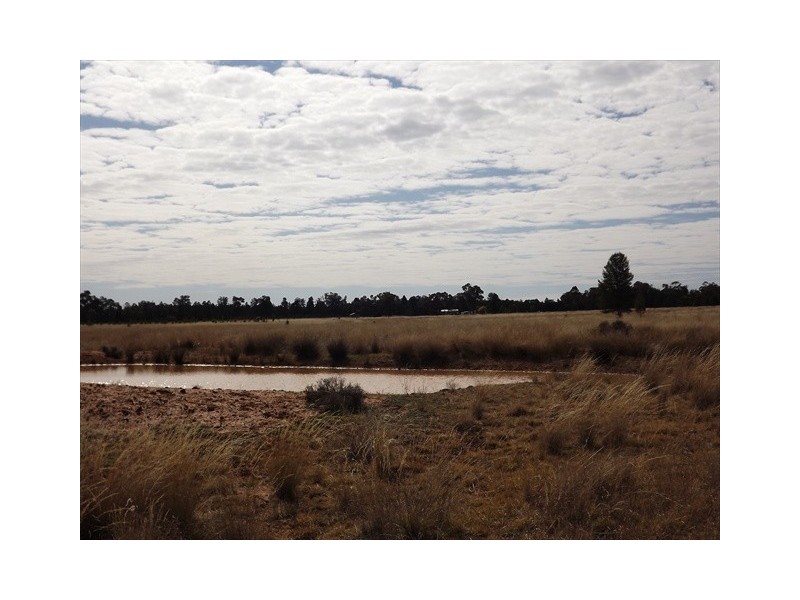 Baradine NSW 2396
