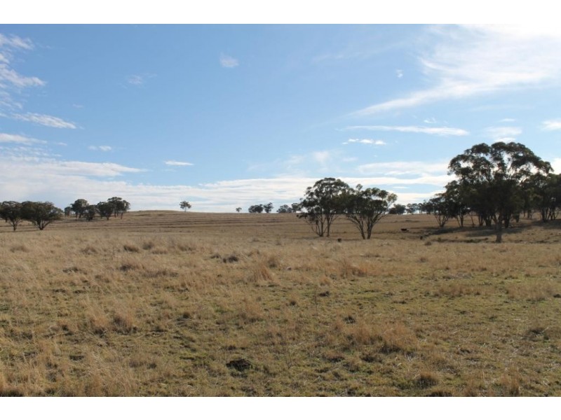FLEMINGTON Copeton Dam Road, Inverell NSW 2360