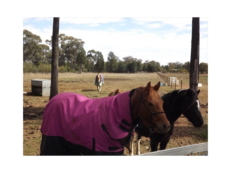 128 Namoi St, Baradine NSW 2396