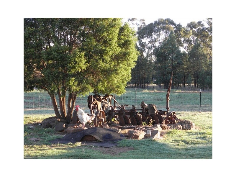 128 Namoi St, Baradine NSW 2396