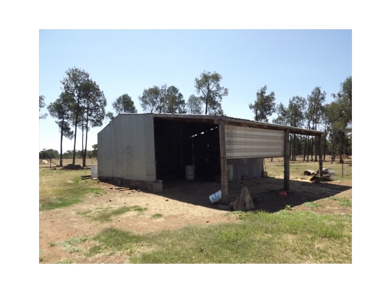 128 Namoi St, Baradine NSW 2396