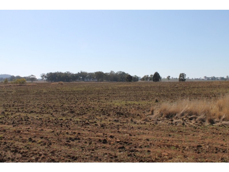 MONTANA Mount Russell Rd, Inverell NSW 2360