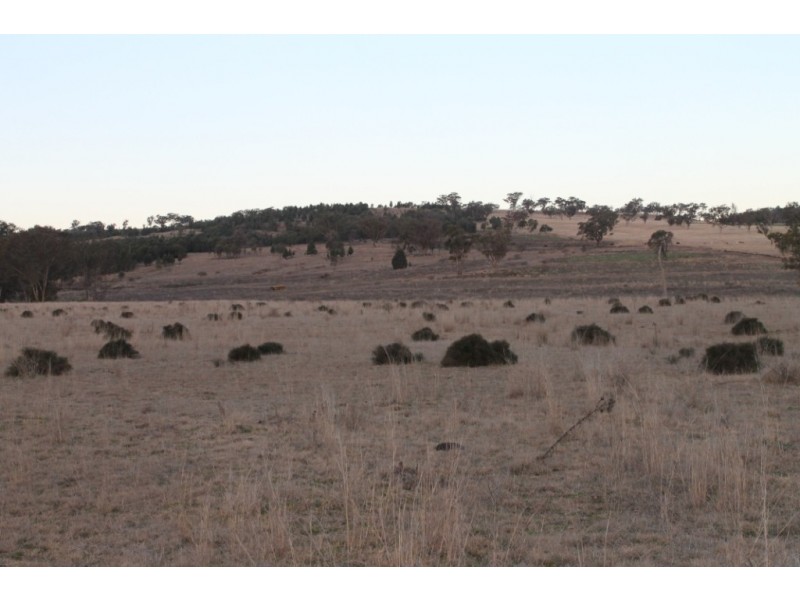 HEYWOOD Heywood Road, Inverell NSW 2360