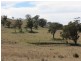 ‘Ridgelands’ Swinging Ridges rd, Willow Tree NSW 2339