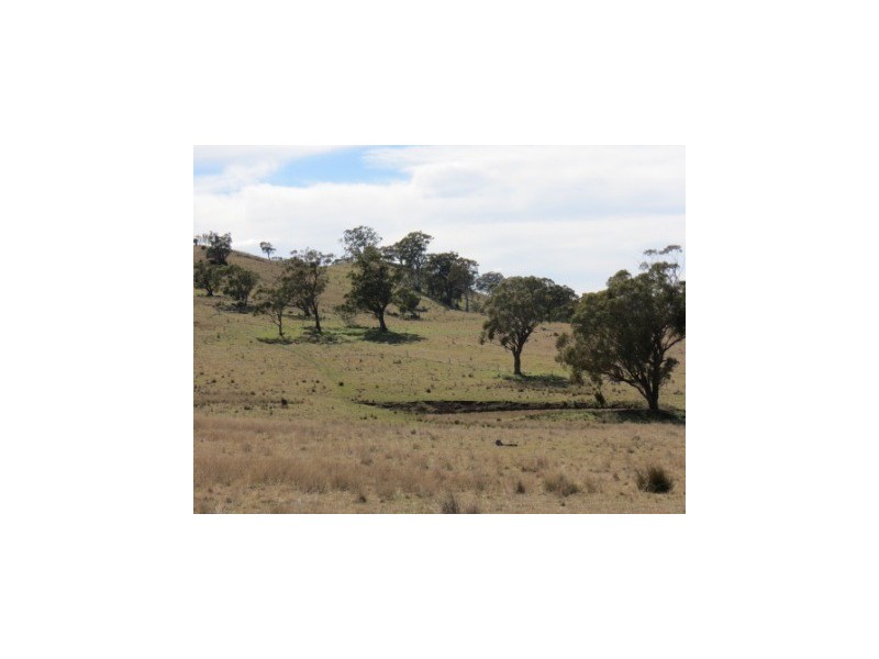 ‘Ridgelands’ Swinging Ridges rd, Willow Tree NSW 2339