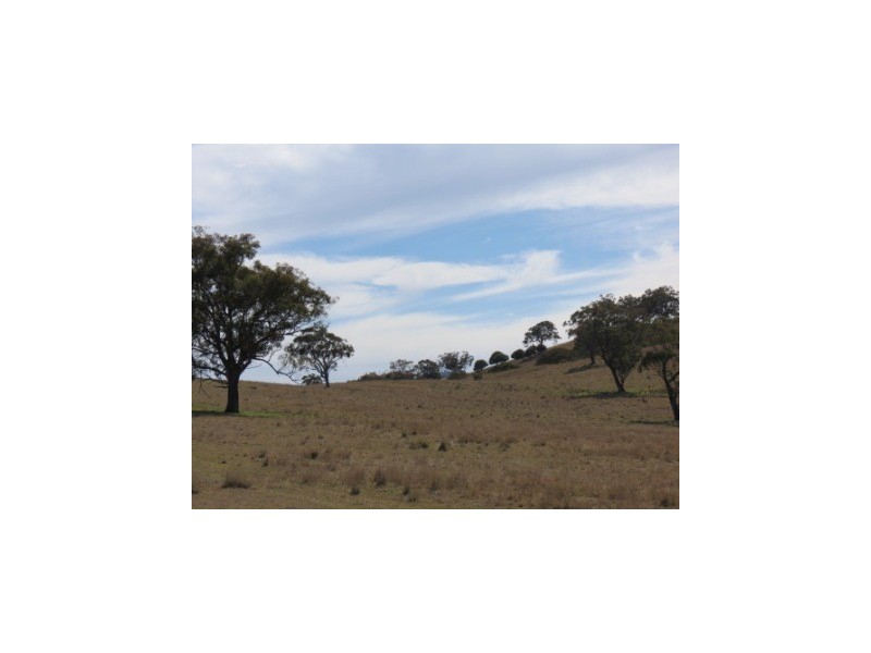 ‘Ridgelands’ Swinging Ridges rd, Willow Tree NSW 2339