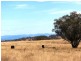 ‘Ridgelands’ Swinging Ridges rd, Willow Tree NSW 2339