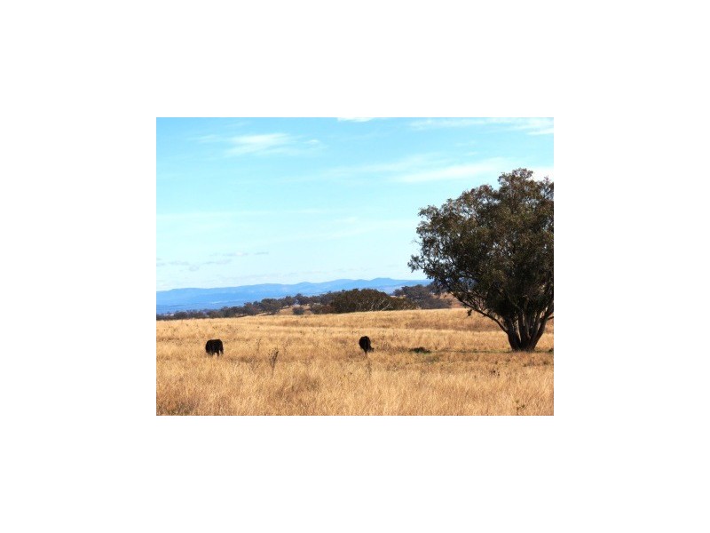 ‘Ridgelands’ Swinging Ridges rd, Willow Tree NSW 2339