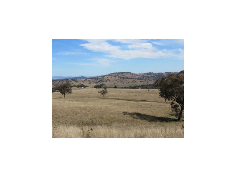‘Ridgelands’ Swinging Ridges rd, Willow Tree NSW 2339