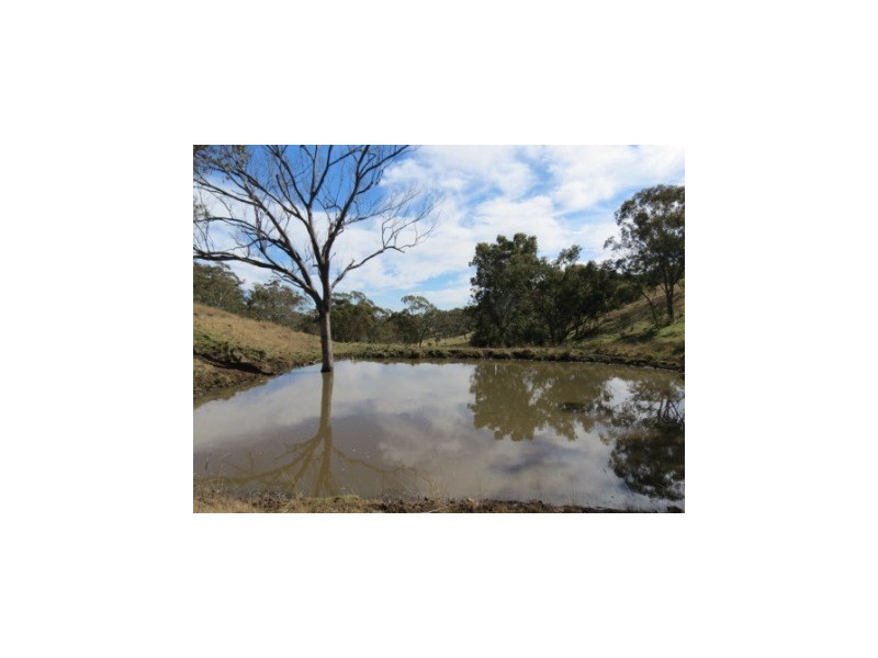 ‘Ridgelands’ Swinging Ridges rd, Willow Tree NSW 2339