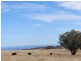 ‘Ridgelands’ Swinging Ridges rd, Willow Tree NSW 2339