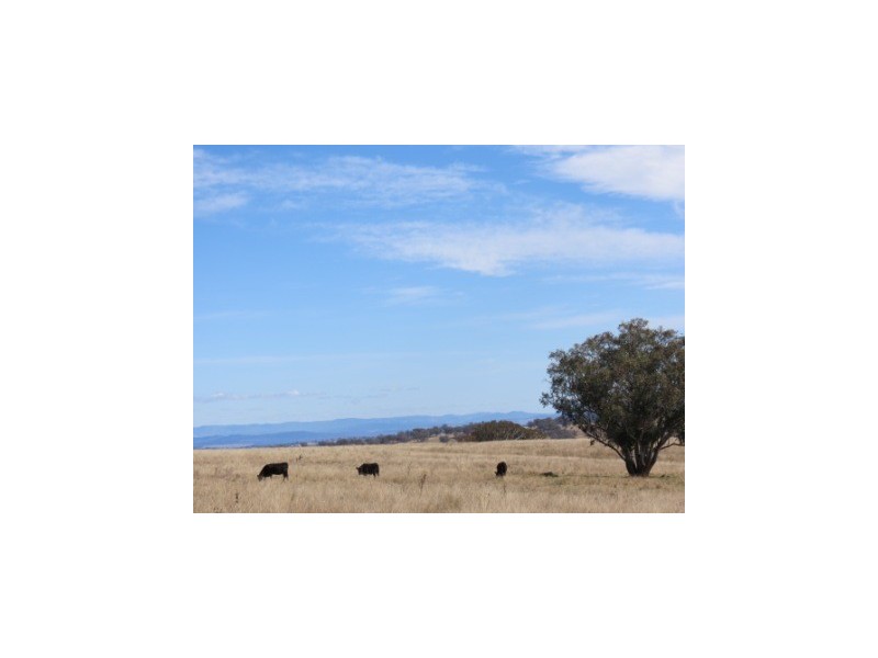 ‘Ridgelands’ Swinging Ridges rd, Willow Tree NSW 2339