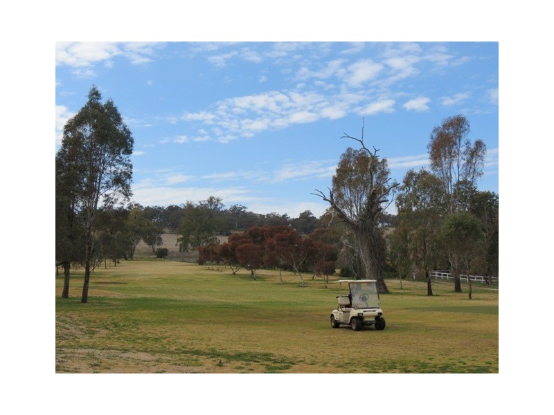 205 Caves Road, Wellington NSW 2820
