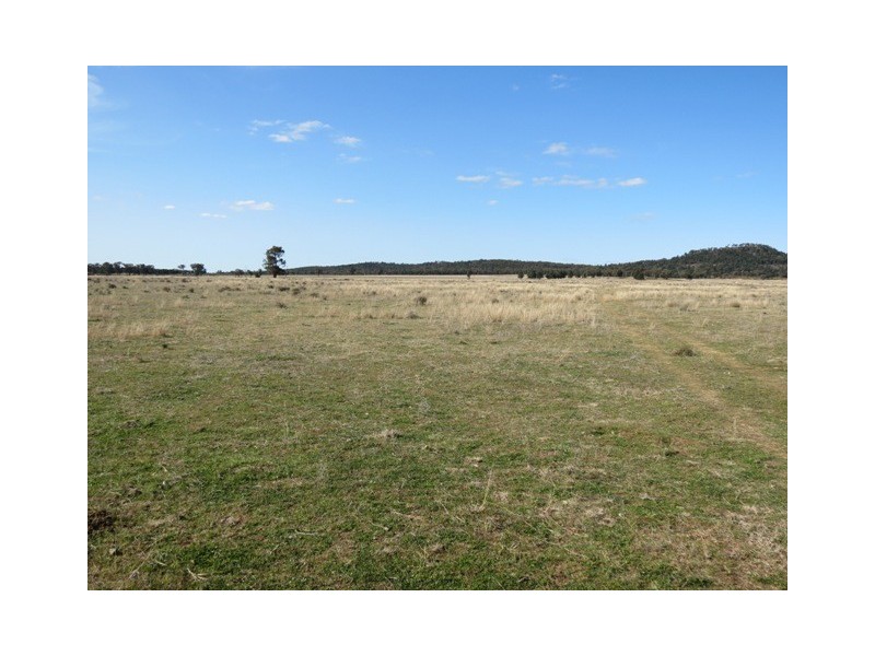 “KABINGA” Mitchell Highway, Dubbo NSW 2830