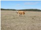“KABINGA” Mitchell Highway, Dubbo NSW 2830
