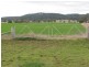 175 Caloola Road, Boggabri NSW 2382