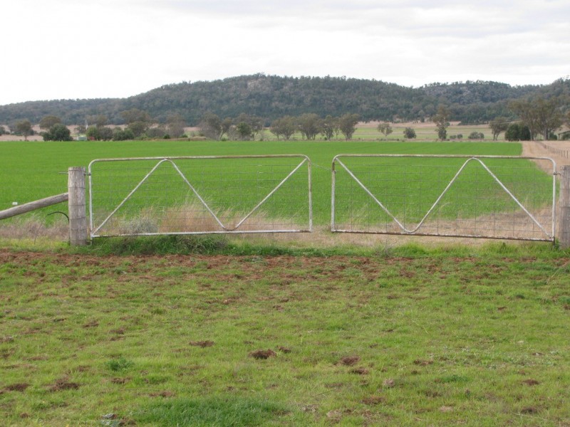 175 Caloola Road, Boggabri NSW 2382