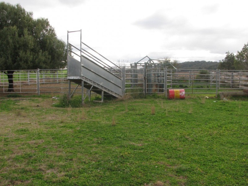 175 Caloola Road, Boggabri NSW 2382