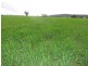 175 Caloola Road, Boggabri NSW 2382