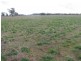175 Caloola Road, Boggabri NSW 2382