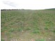 175 Caloola Road, Boggabri NSW 2382