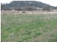 175 Caloola Road, Boggabri NSW 2382